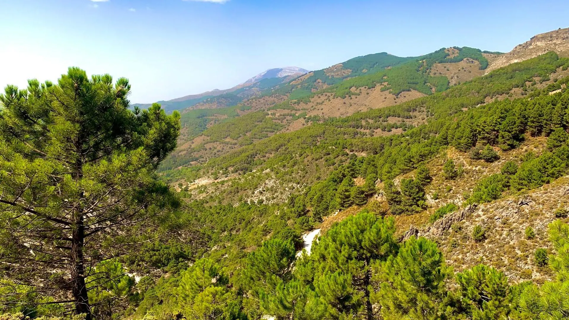 Finca El Almendro 말라가 스페인