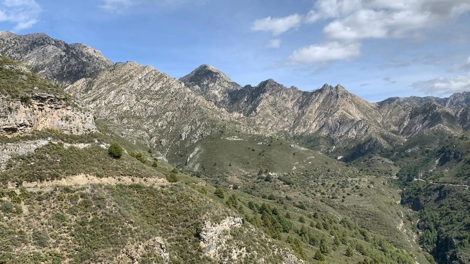 Finca El Almendro 말라가 펜션